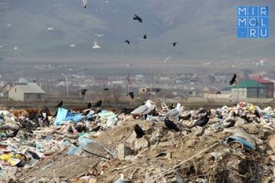 В Дагестане в поисках куда девались больше 400 тысяч тонн мусора - mirmol.ru - респ. Дагестан