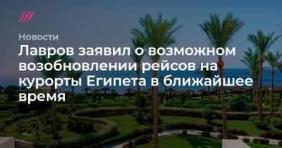 Лавров заявил о возможном возобновлении рейсов на курорты Египета в ближайшее время - tvrain.ru - Санкт-Петербург - Египет