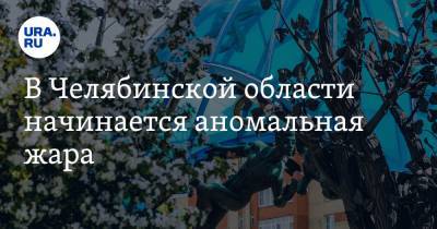 В Челябинской области начинается аномальная жара - ura.news - Челябинская обл.