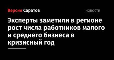 Эксперты заметили в регионе рост числа работников малого и среднего бизнеса в кризисный год - nversia.ru - Саратовская обл.