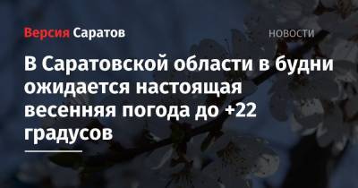 В Саратовской области в будни ожидается настоящая весенняя погода до +22 градусов - nversia.ru - Саратовская обл. - Саратов