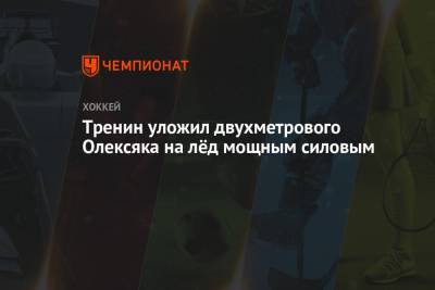 Яков Тренин - Тренин уложил двухметрового Олексяка на лёд мощным силовым - championat.com