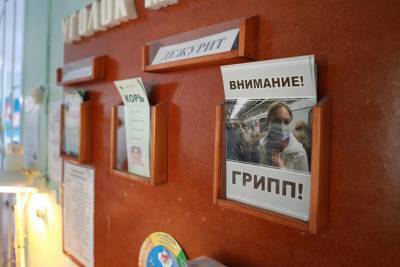 Ирина Гехт - В Челябинской области до сих пор нет случаев гриппа. Новых штаммов COVID-19 тоже нет - znak.com - Челябинская обл.