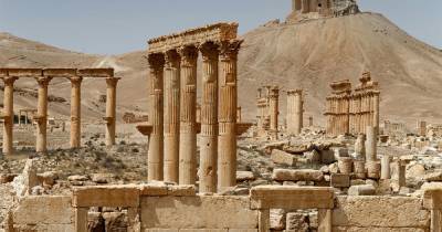 Путешествие в прошлое: Пальмире вернут ее исторический облик - ren.tv - Сирия - Пальмира