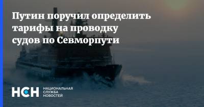 Владимир Путин - Путин поручил определить тарифы на проводку судов по Севморпути - nsn.fm - Арктика