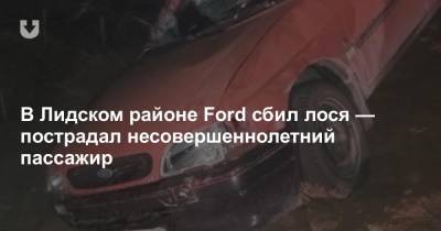 В Лидском районе Ford сбил лося — пострадал несовершеннолетний пассажир - news.tut.by - Литва - район Лидский