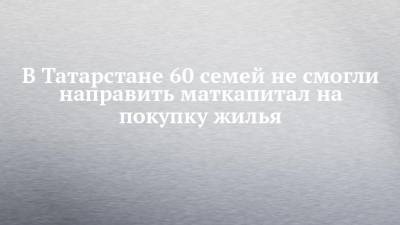 В Татарстане 60 семей не смогли направить маткапитал на покупку жилья - chelny-izvest.ru - респ. Татарстан