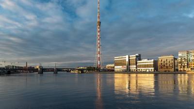 На девяти мостах и путепроводах в 2021 году заменят асфальт - dp.ru - Санкт-Петербург