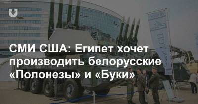 СМИ США: Египет хочет производить белорусские «Полонезы» и «Буки» - news.tut.by - США - Египет
