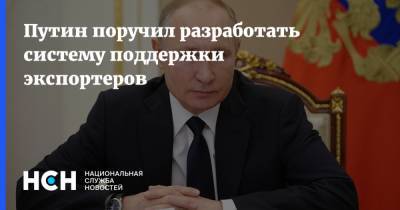 Владимир Путин - Путин поручил разработать систему поддержки экспортеров - nsn.fm