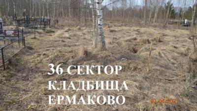 Сергей Михайлов - В Вышнем Волочке Тверской области людей хоронят в могилах с водой - afanasy.biz - Тверская обл.