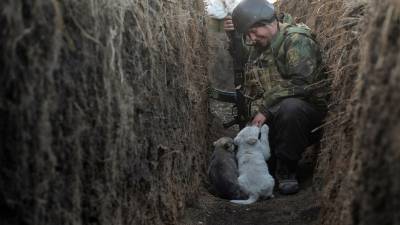 Обстановка на линии фронта за сутки: версии сторон - anna-news.info - Киев - ДНР - ЛНР - Мариуполь - Донбасс - Новости