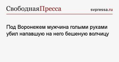 Под Воронежем мужчина голыми руками убил напавшую на него бешеную волчицу - svpressa.ru - Воронеж - Воронежская обл.