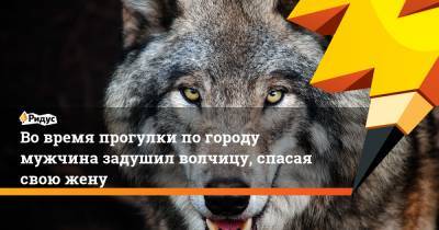 Во время прогулки по городу мужчина задушил волчицу, спасая свою жену - ridus.ru - Челябинск - Воронежская обл. - Борисоглебск