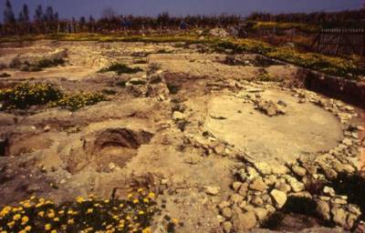 Посетите археологический парк в Киссонерге - vkcyprus.com - Кипр