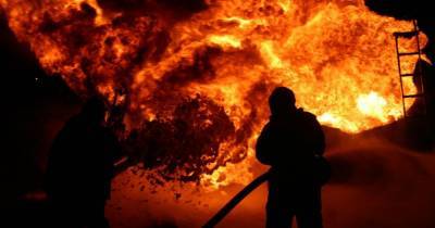 В Киевской области в пожаре погиб 5-летний мальчик - tsn.ua - Киев - Киевская обл.