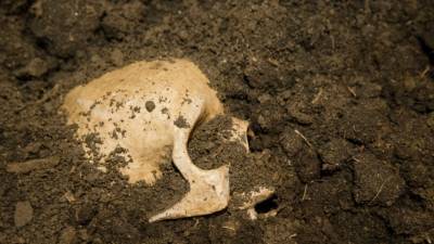 Захи Хавасс - В затерянном египетском городе нашли скелет человека - mir24.tv - Египет