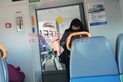 Брянчанка пожаловалась в соцсети на кондуктора в электричке - mk.ru - Брянск