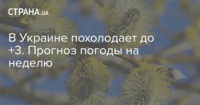В Украине похолодает до +3. Прогноз погоды на неделю - strana.ua - Киев
