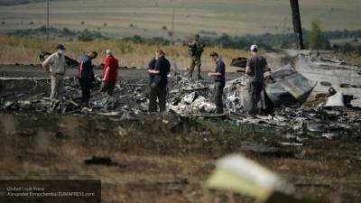 Антипов раскрыл, как пассажирские кресла MH17 выкосят «бурьян» в версии Нидерландов - newinform.com - Голландия