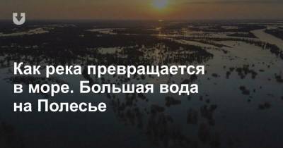 Как река превращается в море. Большая вода на Полесье - news.tut.by