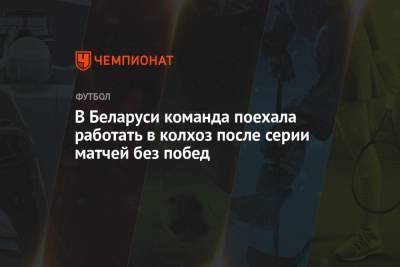 В Беларуси команда поехала работать в колхоз после серии матчей без побед - championat.com