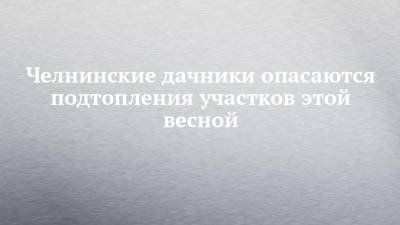 Челнинские дачники опасаются подтопления участков этой весной - chelny-izvest.ru