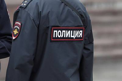 Борис Вишневский - Иван Родин - Полиция выявила организации "протестного толка" - ng.ru - Санкт-Петербург
