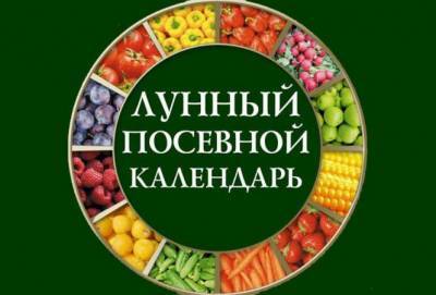 Лунный посевной календарь на май: что и когда нужно сажать - vchaspik.ua - Украина