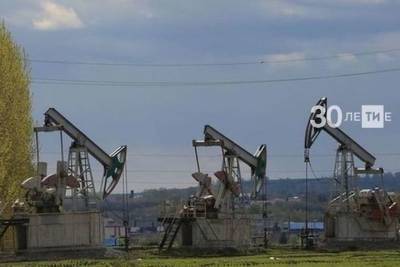 В Татарстане вновь обаружили аварийный разлив нефтепродуктов - kazan.mk.ru - респ. Татарстан - Альметьевск - район Альметьевский