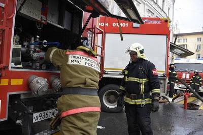 Возгорание мусора и травы произошло в Матвеевском лесу - vm.ru - Москва