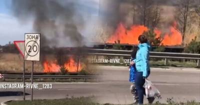 На Ровенщине неизвестные подожгли сухостой рядом с АЗС - tsn.ua - Ровенская обл.
