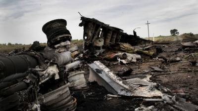 Сергей Дубинский - Нидерландский журналист указал на странность в "слитых" файлах по делу MH17 - inforeactor.ru - Голландия