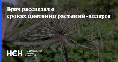 Андрей Звонков - Врач рассказал о сроках цветения растений-аллергенов - nsn.fm