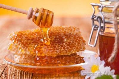 Мёд в сотах — польза и вред, а также лечение от 15 недугов - skuke.net