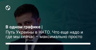 В одном графике | Путь Украины в НАТО. Что еще надо и где мы сейчас – максимально просто - liga.net