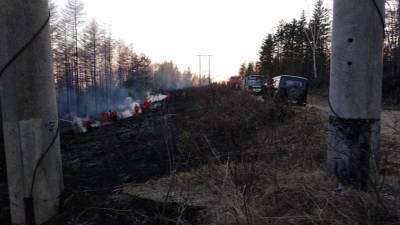 В Корсаковском районе в этом месяце уже три раза горела трава - sakhalin.info