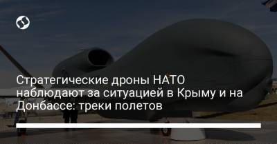 Стратегические дроны НАТО наблюдают за ситуацией в Крыму и на Донбассе: треки полетов - liga.net - Крым - Одесса - Бердянск