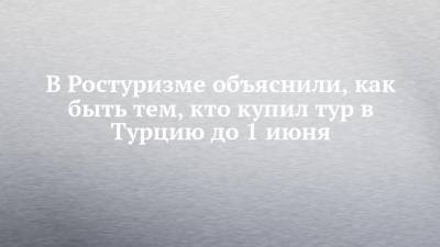 В Ростуризме объяснили, как быть тем, кто купил тур в Турцию до 1 июня - chelny-izvest.ru - Турция - Танзания