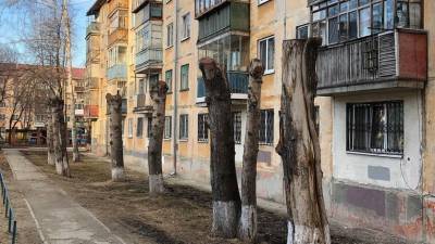 Тюменские службы продолжают превращать деревья в «пеньки» - nashgorod.ru - Тюмень