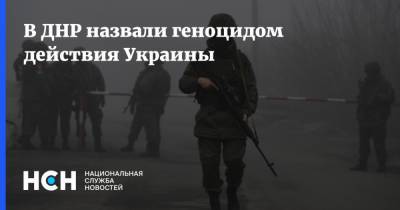Владимир Бидевка - В ДНР назвали геноцидом действия Украины - nsn.fm - Украина - Киев - ДНР - Донбасс