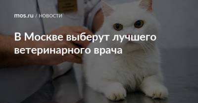 В Москве выберут лучшего ветеринарного врача - mos.ru - Москва