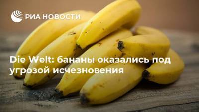 Die Welt: бананы оказались под угрозой исчезновения - ria.ru - Москва - США - Австралия - Колумбия - Гондурас