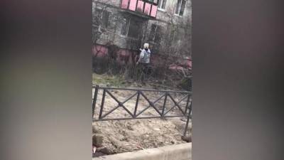 Полиция возбудила уголовное дело после пьяной стрельбы под окнами на проспекте Космонавтов - piter.tv - Петербурга - р-н. Московский
