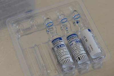 Сергей Лавров - Мохаммад Джавад - Более 500 тысяч доз вакцины «Спутник V» поставили в Иран - vm.ru - Иран