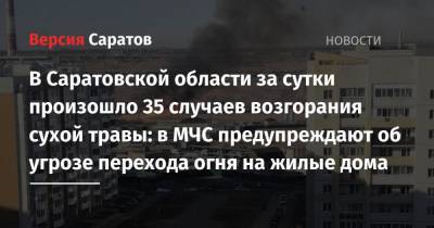 В Саратовской области за сутки произошло 35 случаев возгорания сухой травы: в МЧС предупреждают об угрозе перехода огня на жилые дома - nversia.ru - Саратовская обл.