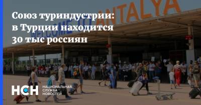 Татьяна Голикова - Андрей Игнатьев - Союз туриндустрии: в Турции находится 30 тыс россиян - nsn.fm - Москва - Турция - Стамбул - Танзания