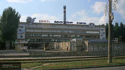 На Украине назвали «идиотской» идею продать «Мотор Сич» Турции - newinform.com - Киев - Турция - Анкара