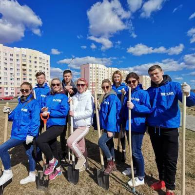 Молодежь Гродно высадит около 200 деревьев в рамках трудового проекта - grodnonews.by
