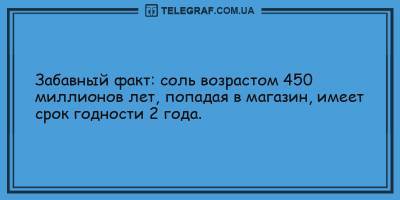 Анекдоты на день 13 апреля, которые заставят смеяться до слез - ТЕЛЕГРАФ - telegraf.com.ua